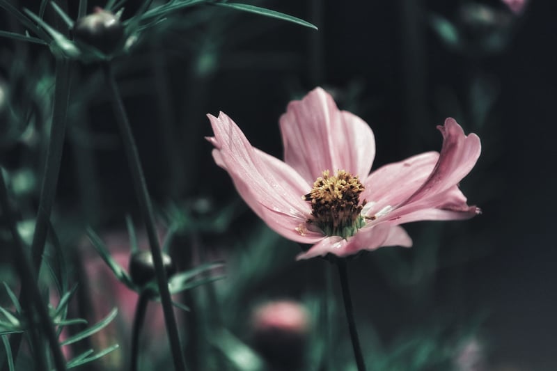 Cascading Flower Basket